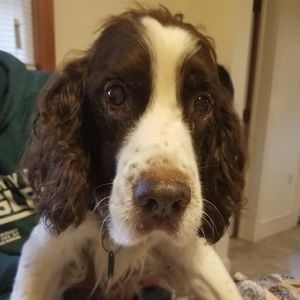 Meet your Posher, Lynn